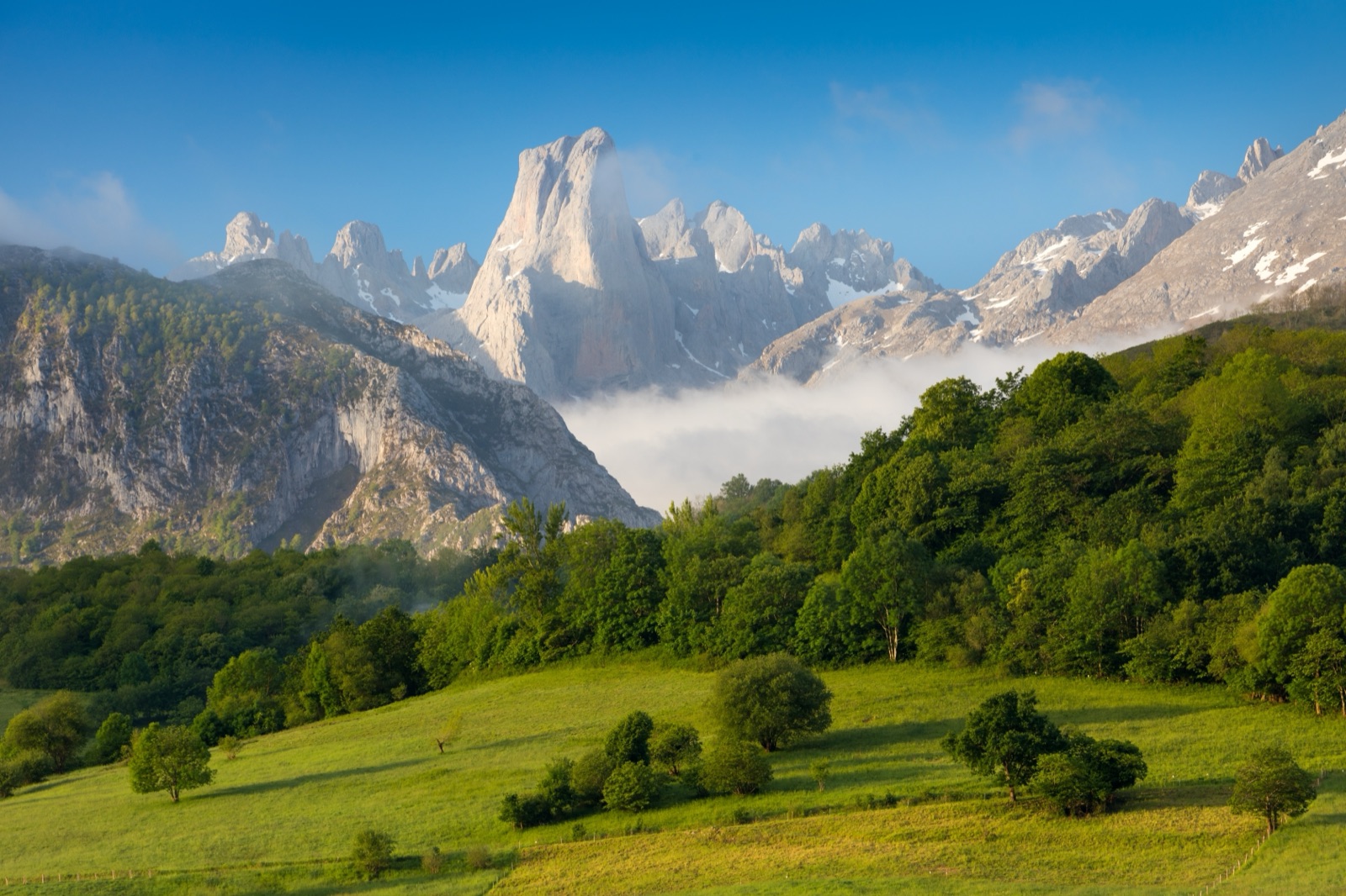 The Picos de Europa range